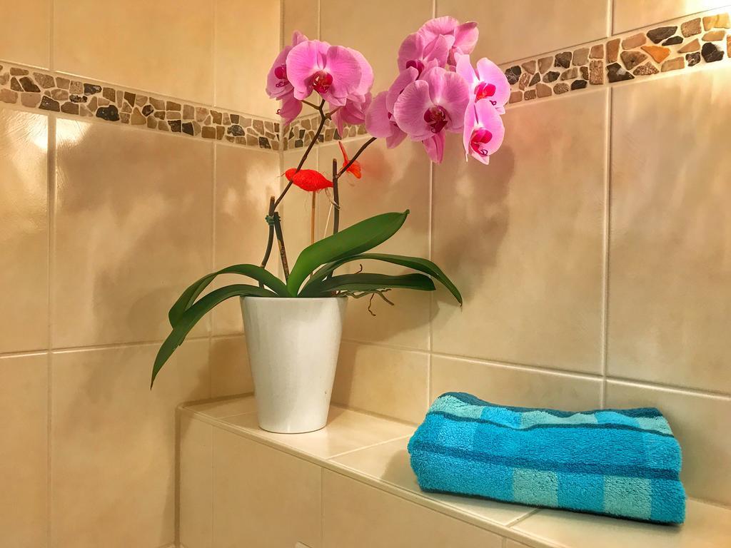 كوتشيم Apartment Happy Mosel المظهر الخارجي الصورة